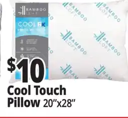 Ocean State Job Lot Cool Touch Pillow offer