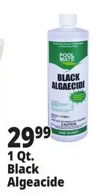 Ocean State Job Lot Pool Mate 1 Qt. Black Algeacide offer
