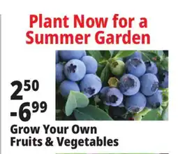 Ocean State Job Lot Grow Your Own Fruits & Vegetables offer