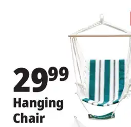 Ocean State Job Lot Hanging Chair offer