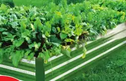 Ocean State Job Lot Raised Garden Bed offer