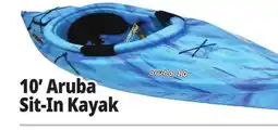 Ocean State Job Lot 10' Aruba Sit-In Kayak offer
