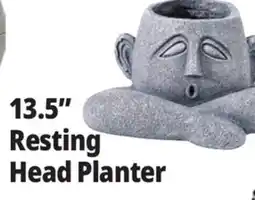 Ocean State Job Lot 13.5 Resting Head Planter offer