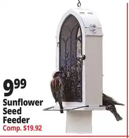 Ocean State Job Lot Sunflower SeedSeed Feeder offer