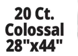 Ocean State Job Lot 20 Ct. Colossal 28x44 Puppy Pad offer