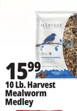 Ocean State Job Lot 10 Lb. Harvest Mealworm Medley offer