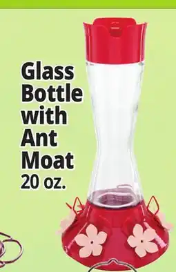 Ocean State Job Lot Glass Bottle with Ant Moat offer