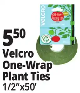 Ocean State Job Lot Velcro One-Wrap Plant Ties offer