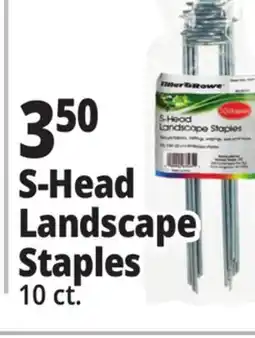 Ocean State Job Lot S-Head Landscape Staples offer