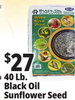 Ocean State Job Lot Black Oil Sunflower Seeds offer
