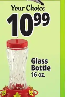 Ocean State Job Lot Glass Bottle offer