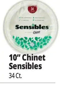 Ocean State Job Lot Chinet Sensibles 10 Plates offer