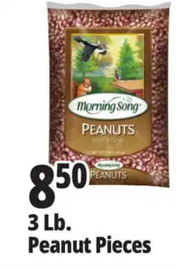 Ocean State Job Lot 3 Lb. Peanut Pieces offer