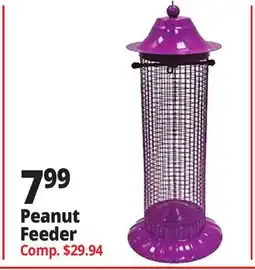Ocean State Job Lot Peanut Feeder offer