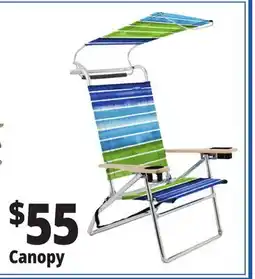 Ocean State Job Lot Canopy offer