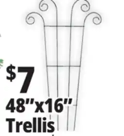 Ocean State Job Lot 48x16 Trellis offer