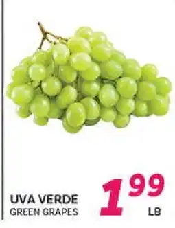 El Paso Grande UVA VERDE offer