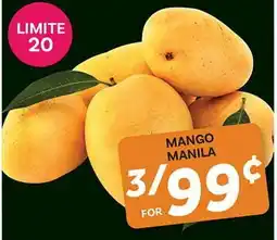 El Paso Grande MANGO MANILA offer