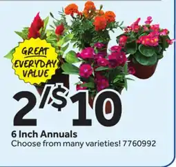 Stop&Shop 6 Inch Annuals offer