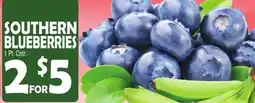 Bravo Supermarkets SOUTHERN BLUEBERRIES offer