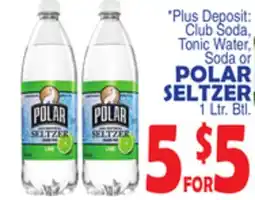 Bravo Supermarkets POLAR SELTZER offer