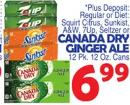 Bravo Supermarkets CANADA DRY GINGER ALE offer