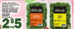 C Town FRESH ATTITUDE SALADS offer
