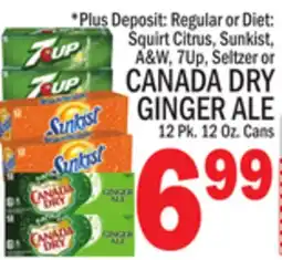 C Town CANADA DRY GINGER ALE offer