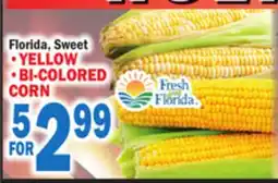 C Town FRESH FROM FLORIDA YELLOW BI-COLORED offer