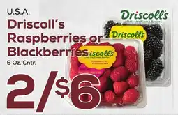 DeCicco & Sons Driscoll's Raspberries or Blackberries offer