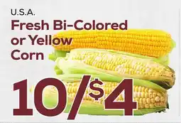 DeCicco & Sons Fresh Bi-Colored or Yellow Corn offer