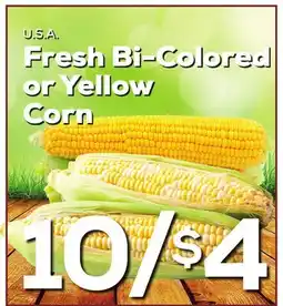 DeCicco & Sons Fresh Bi-Colored or Yellow Corn offer