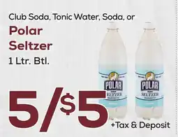 DeCicco & Sons Polar Seltzer offer