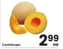 ACME Cantaloupe offer