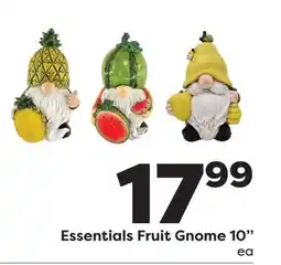 Weis Markets Essentials Fruit Gnome offer