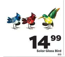 Weis Markets Solar Glass Bird offer