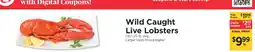 ShopRite Wild Caught Live Lobsters offer