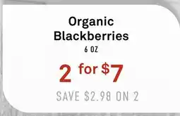 Standard Market Organic Blackberries offer