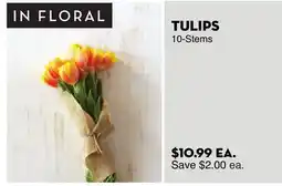 Bristol Farms TULIPS offer