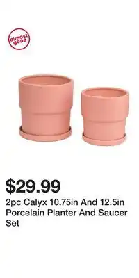 TJ Maxx 2pc Calyx 10.75in And 12.5in Porcelain Planter And Saucer Set offer