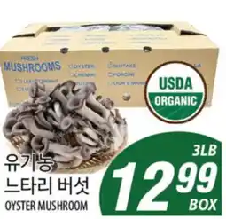 Joong Boo Market OYSTER MUSHROOM offer