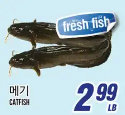 Joong Boo Market CATFISH offer