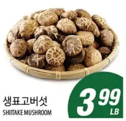 Joong Boo Market SHIITAKE MUSHROOM offer