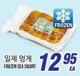 Joong Boo Market FROZEN SEA SQUIRT offer