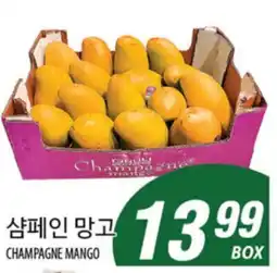 Joong Boo Market CHAMPAGNE MANGO offer