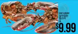 Hmart Live Lobster offer