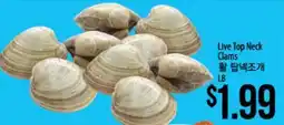 Hmart Live Top Neck Clams offer