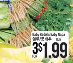 Hmart Baby Radish/Baby Napa BUN offer