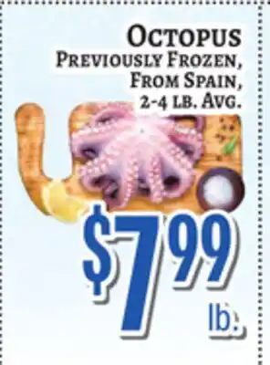 Trade Fair Supermarket Octopus offer