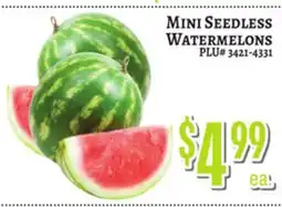 Trade Fair Supermarket MINI SEEDLESS WATERMELONS offer